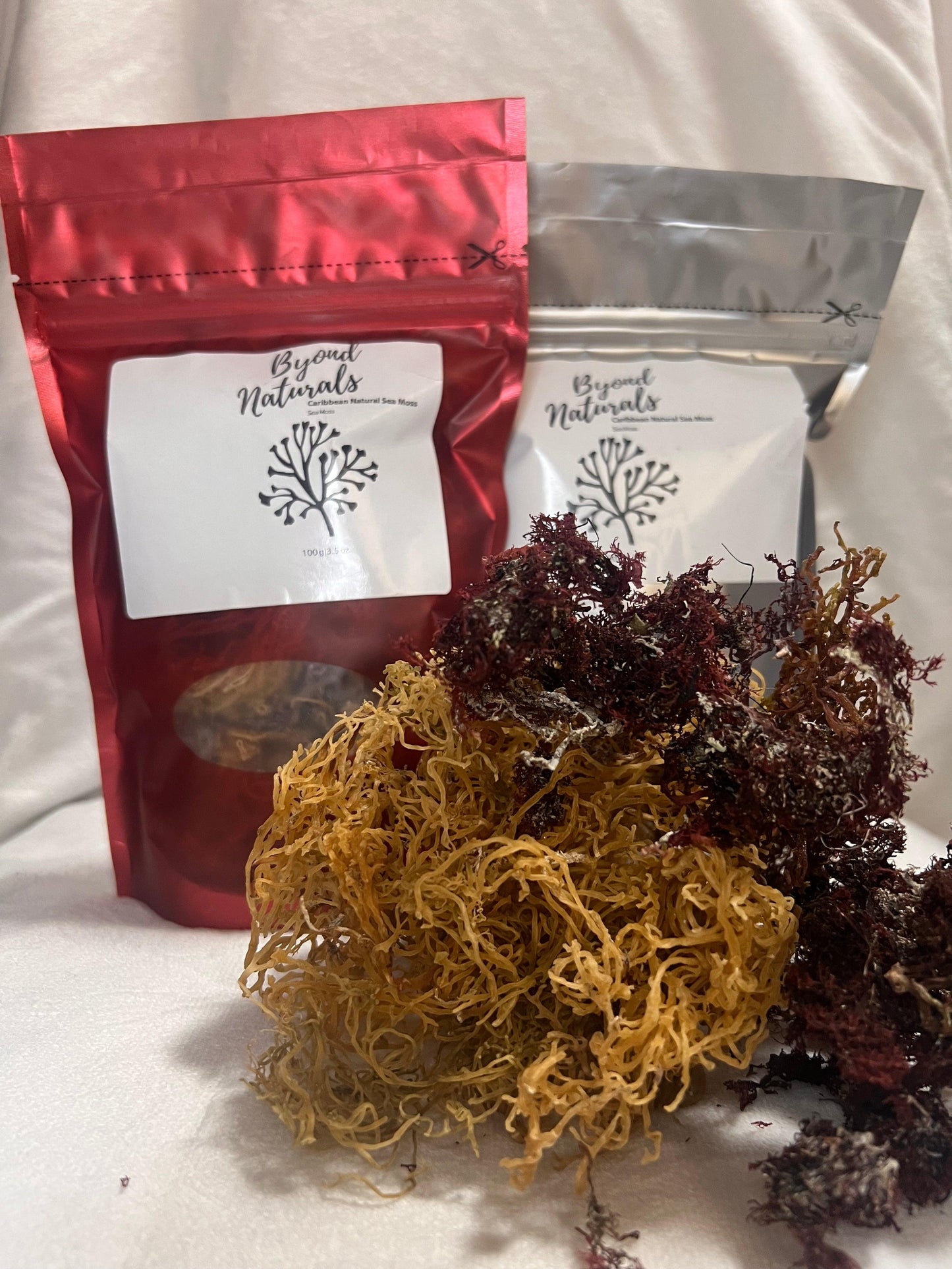 Sea Moss - Gold - BYOND
