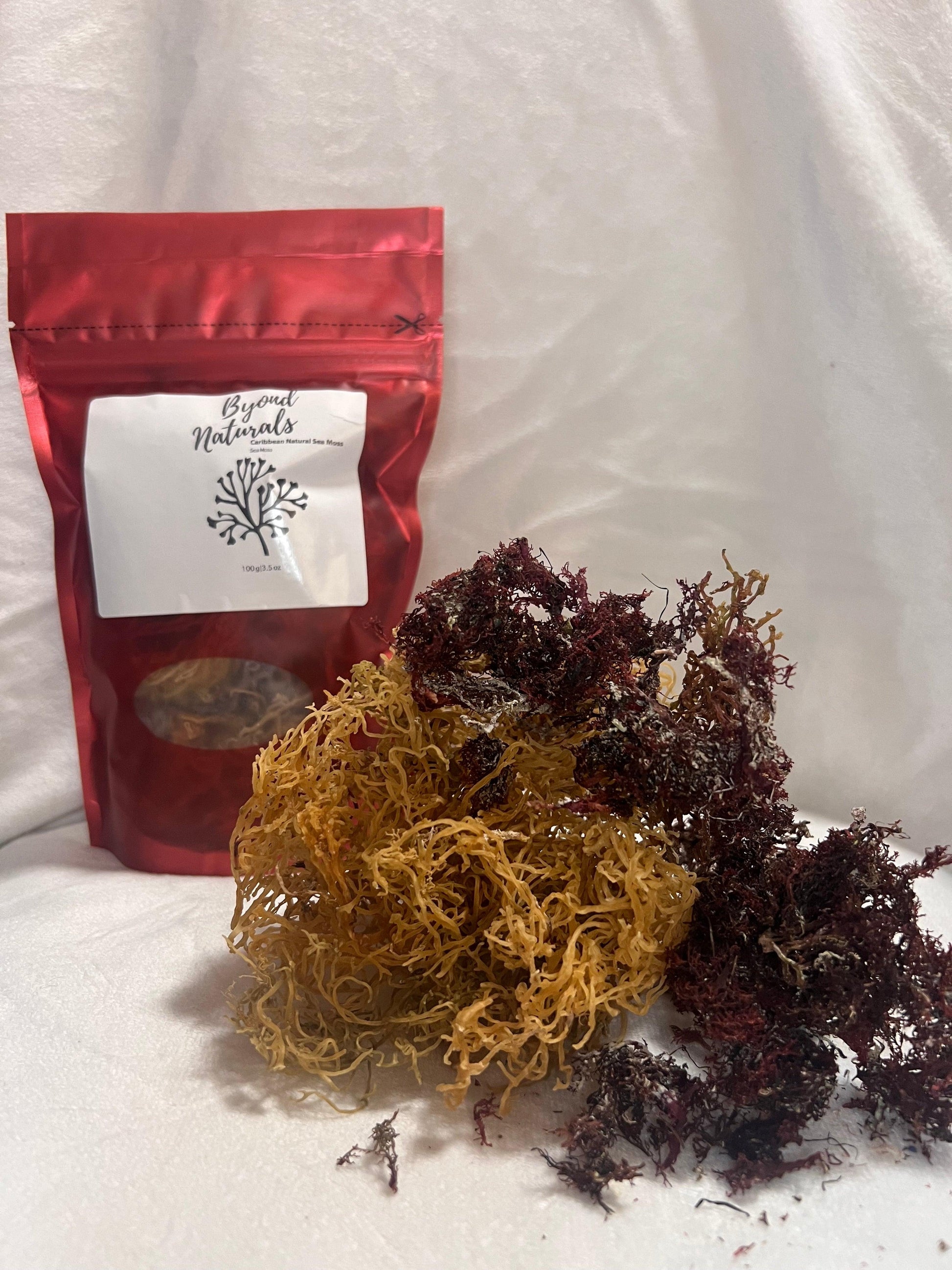 Sea Moss - Gold - BYOND