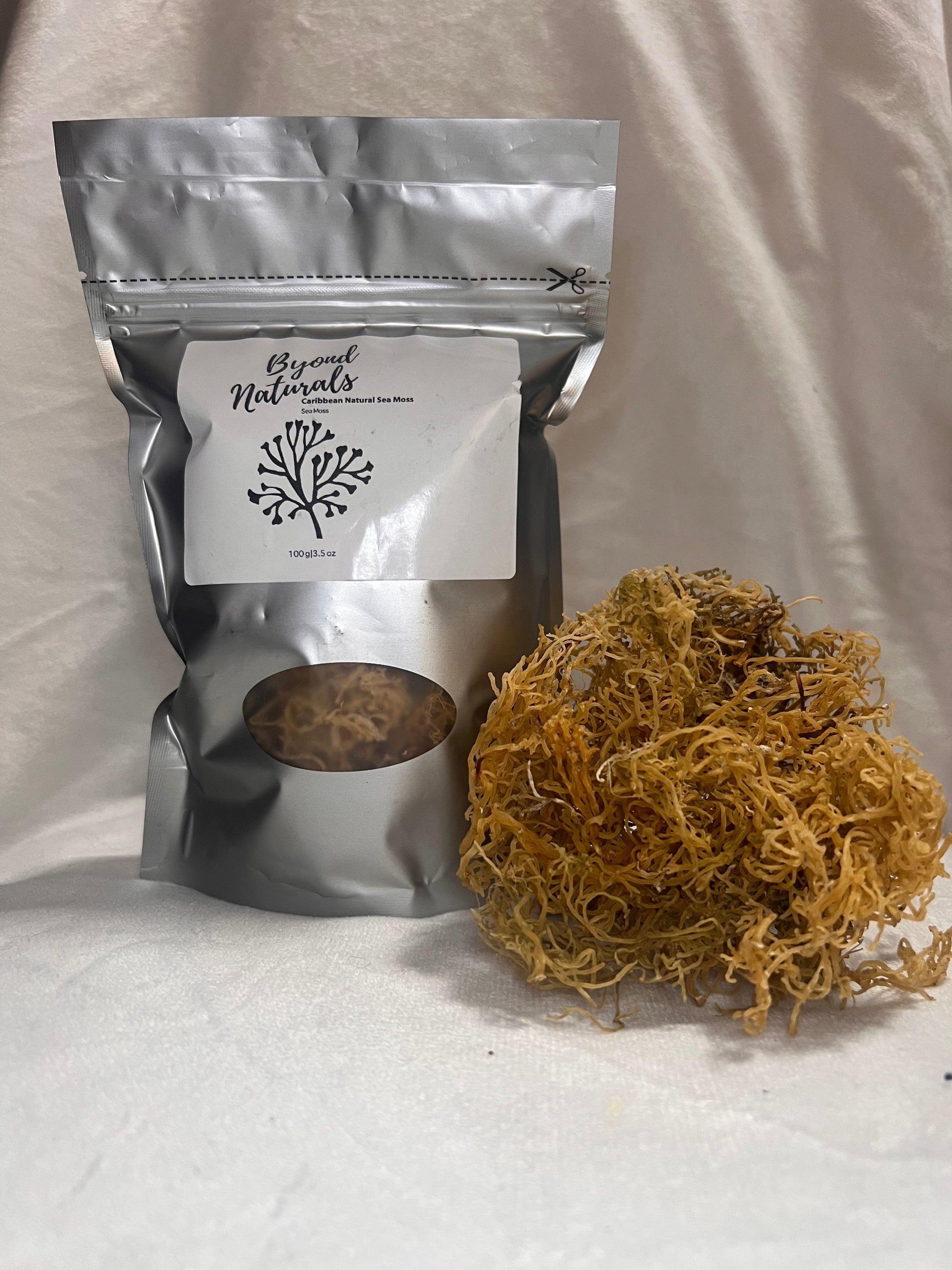 Sea Moss - Gold - BYOND