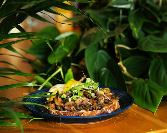Jerk and Mushroom on Rye Bread - BYOND