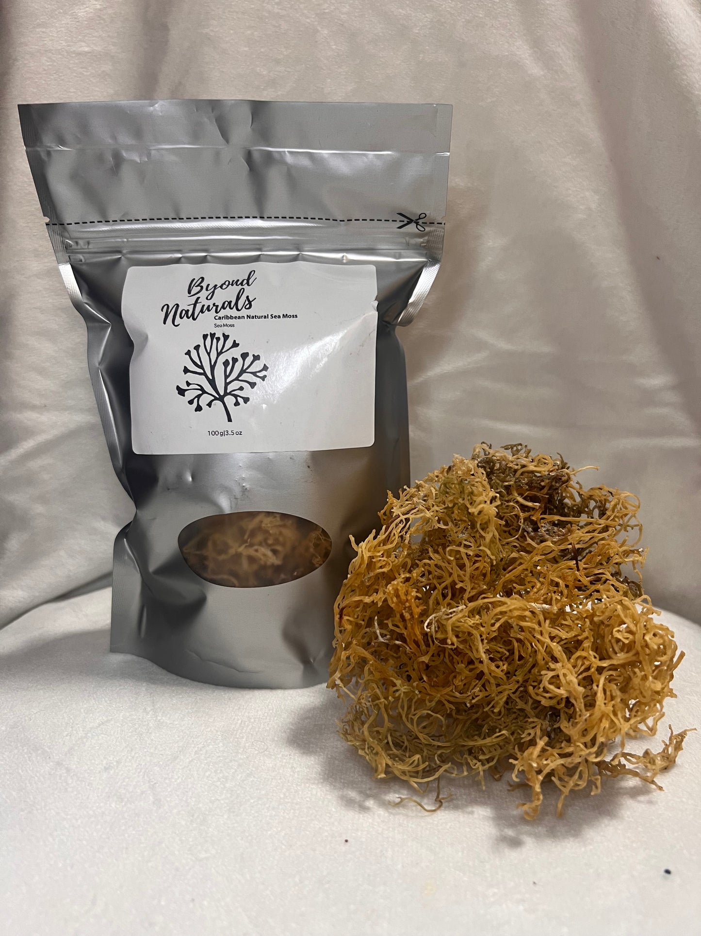 Sea Moss - Gold